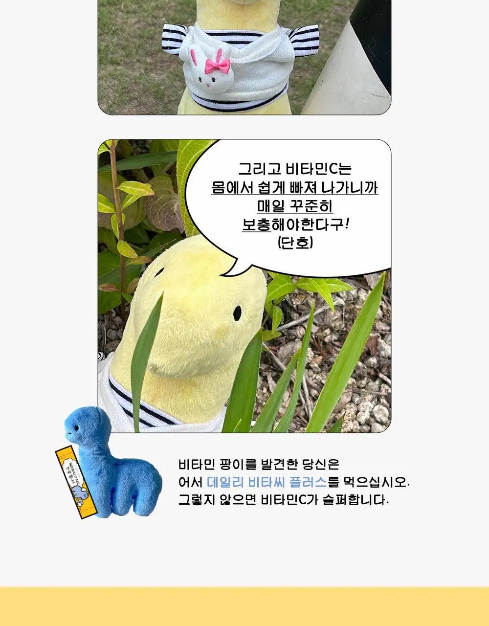 [1일 섭취량의 250%]네추럴라이즈 우주먼지 데일리 비타씨 플러스 (20일분) 상세페이지 13